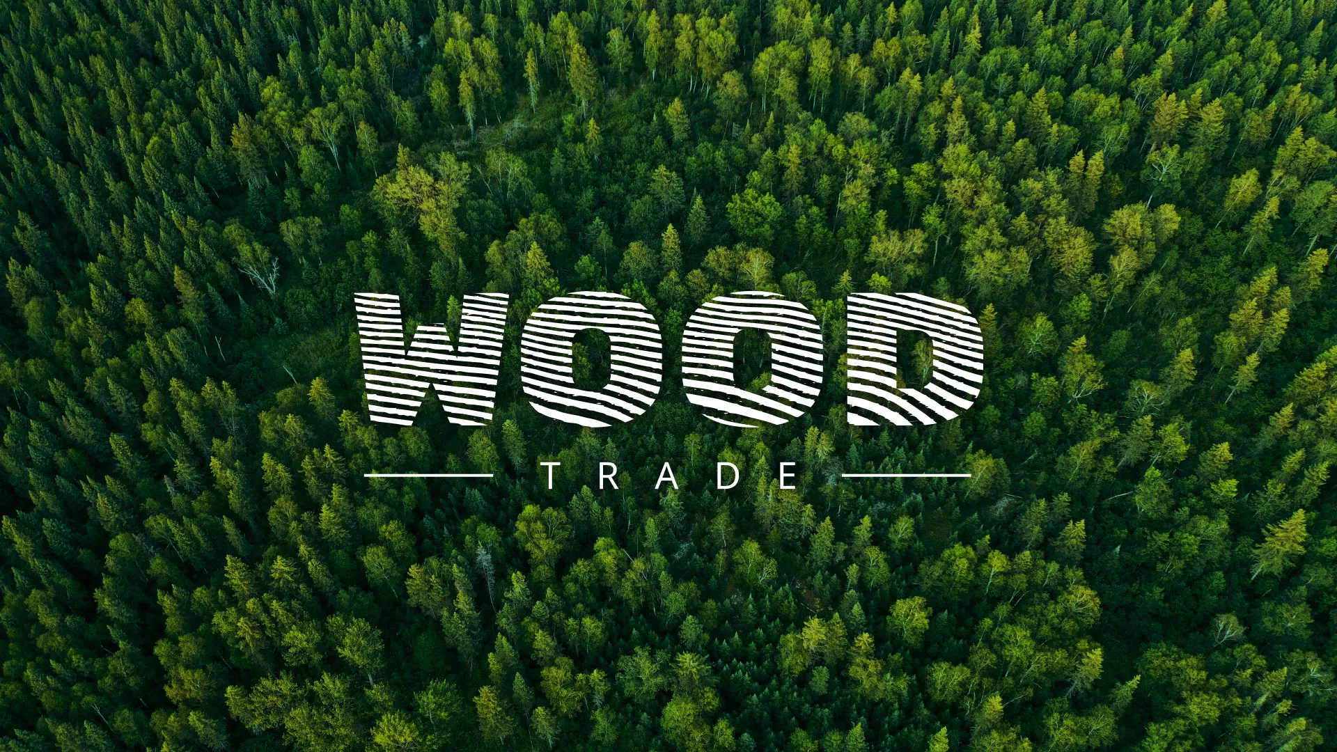 Разработка интернет-магазина компании «Wood Trade» в Покрове